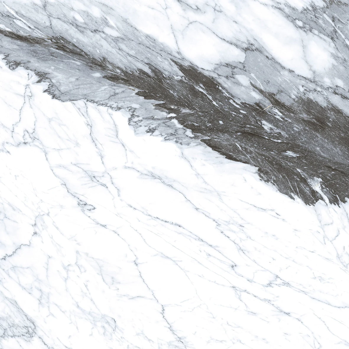Porcelanato North White I 60×60