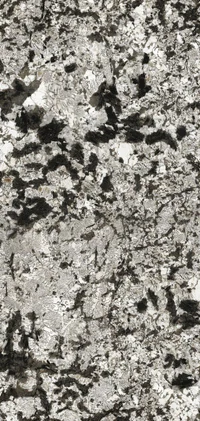 Piedra Beri Stone Alaska Gray 90×180