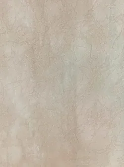 Cerámica Coral 36×48