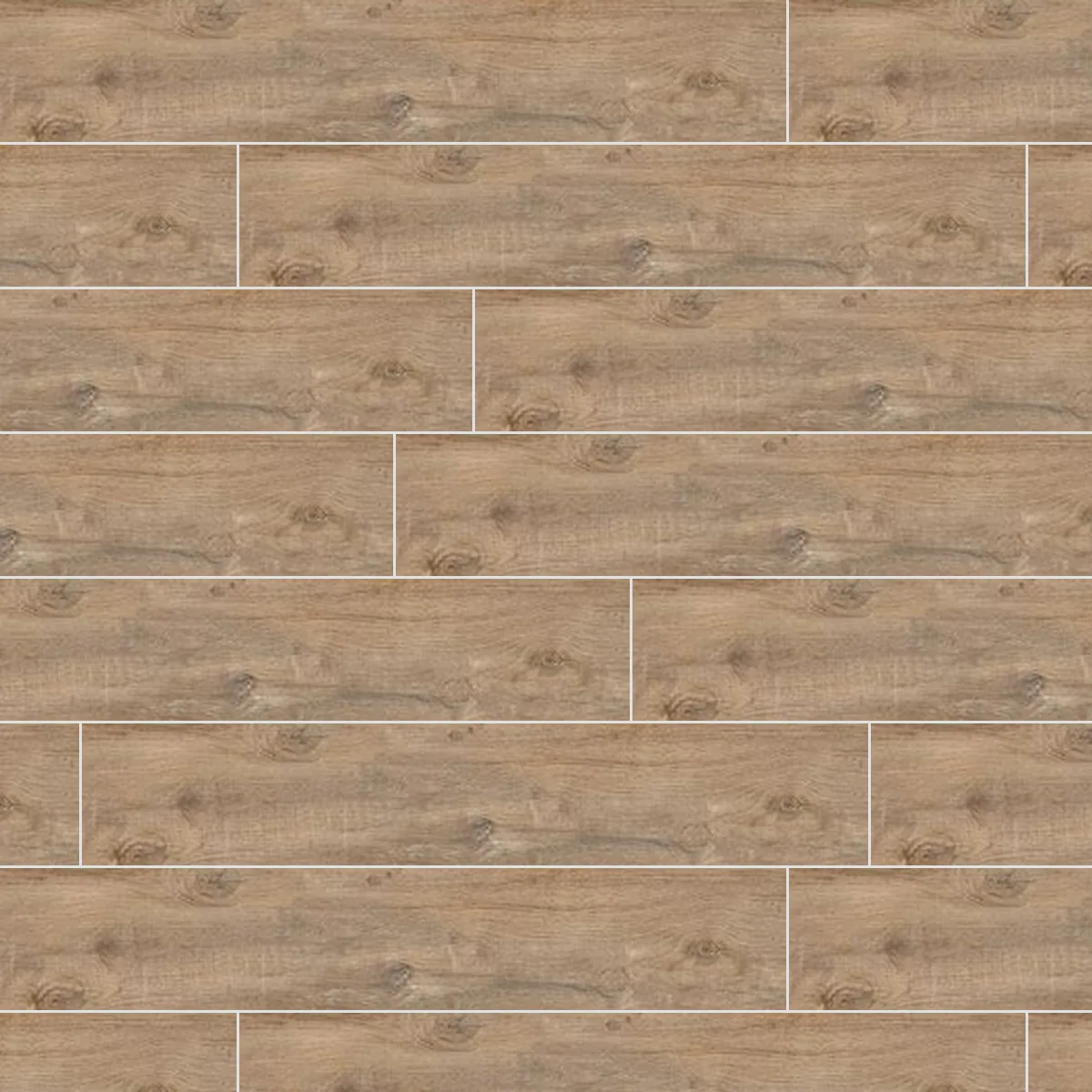 Porcelanato Nebraska Elm Ant 30×120