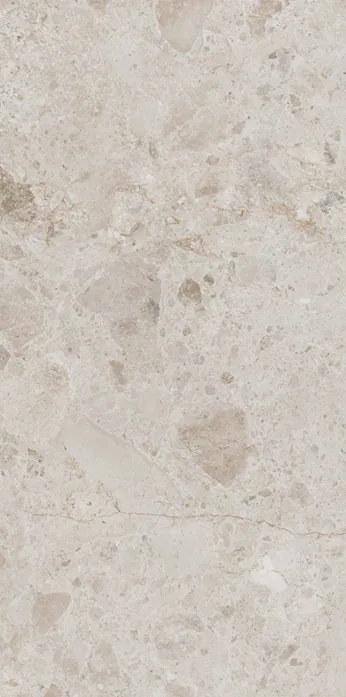 Porcelanato Petra Taupe 60×120
