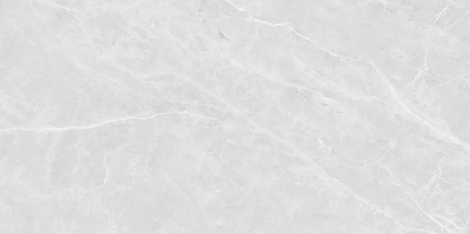 Porcelanato Barcelona White 60×120